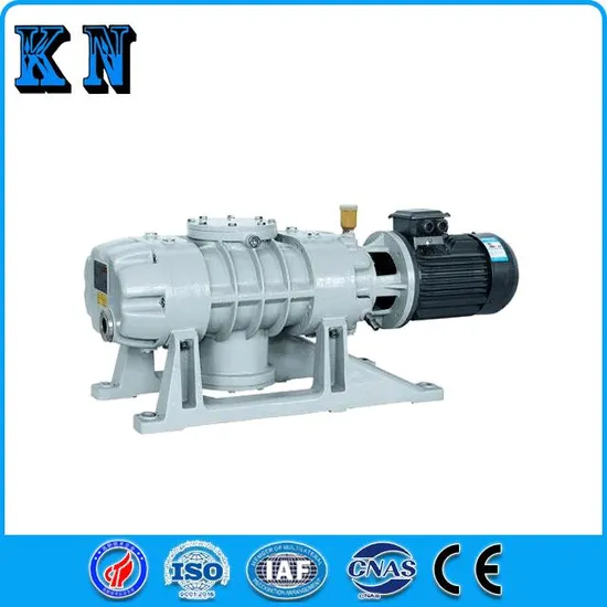 Xd-20 Single Stage Rotary Vane Vacuum Pump for Vacuum Packaging